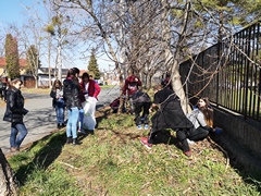 IMG_20190322_103037.jpg